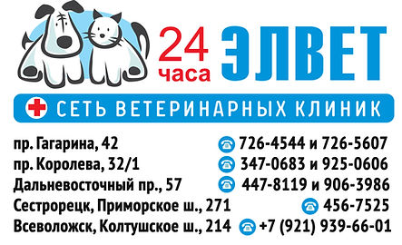 ЭЛВЕТ — сеть ветеринарных клиник