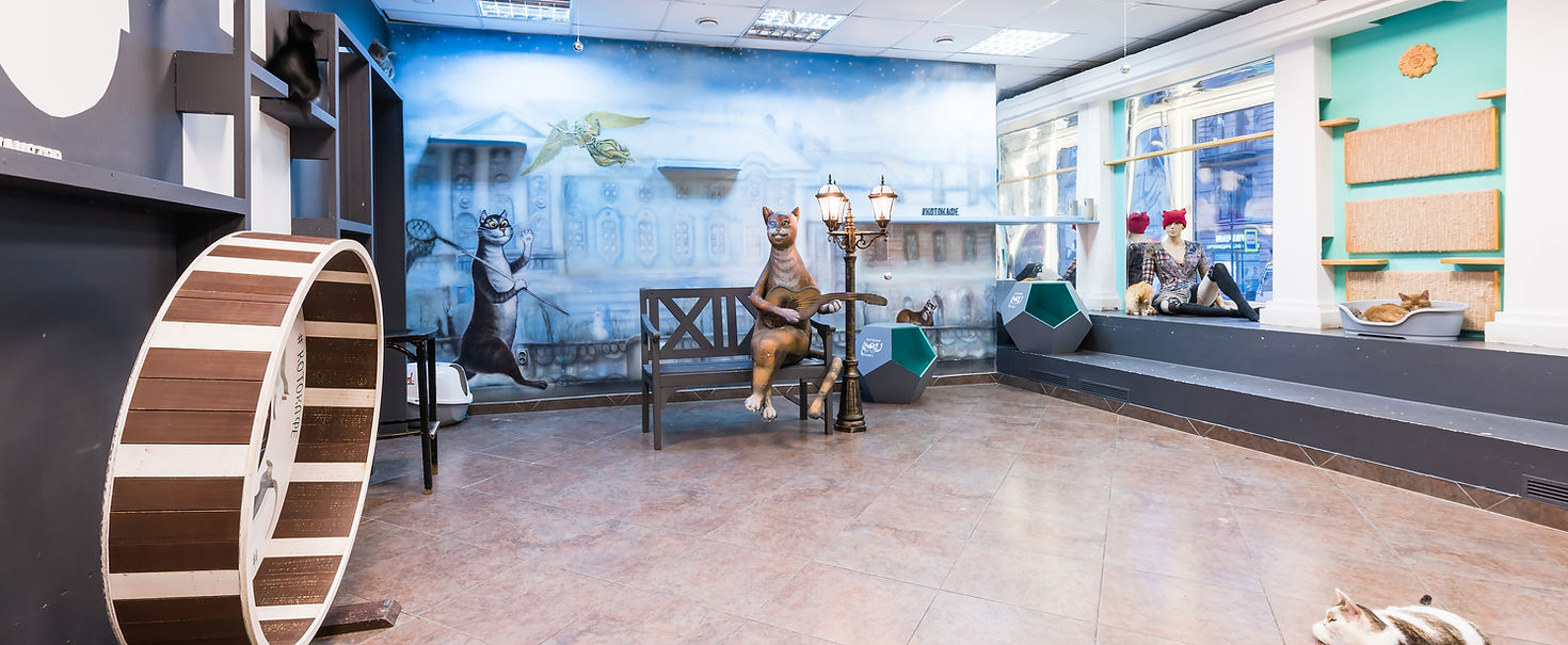 Республика котов — интерьер котокафе на Литейном проспекте, 60
